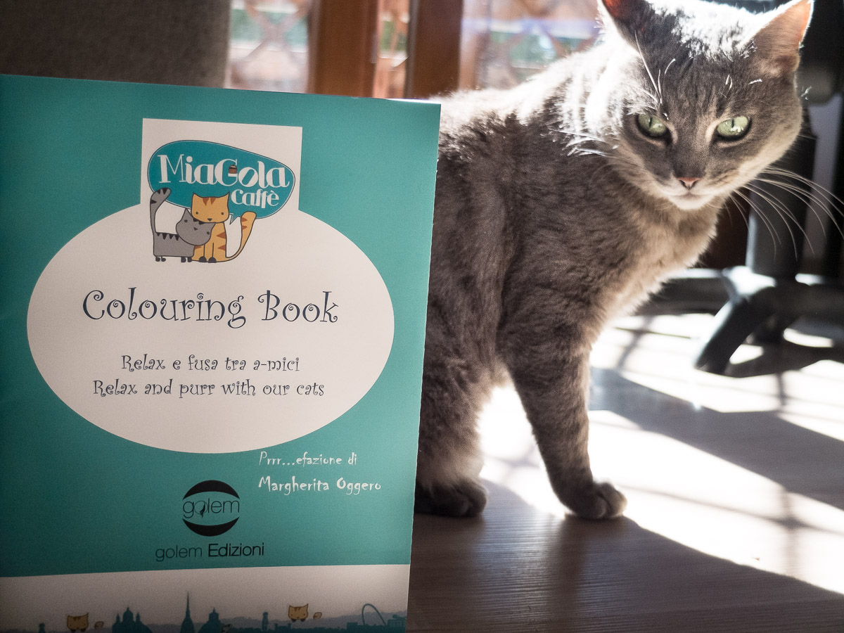 I 10 libri per chi ama i gatti - Donna Moderna